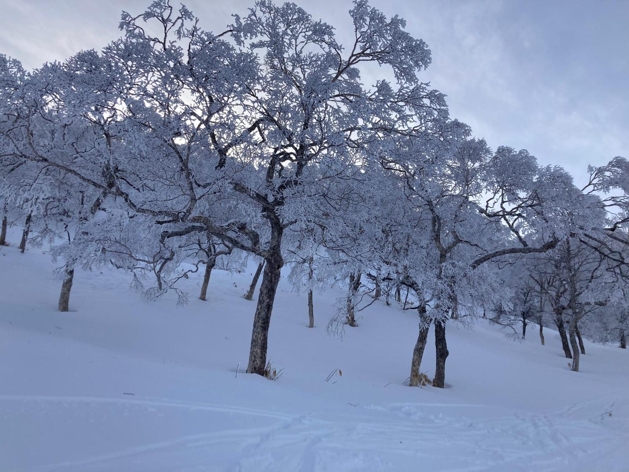 Murmeln Yuzawa  Bagian luar foto